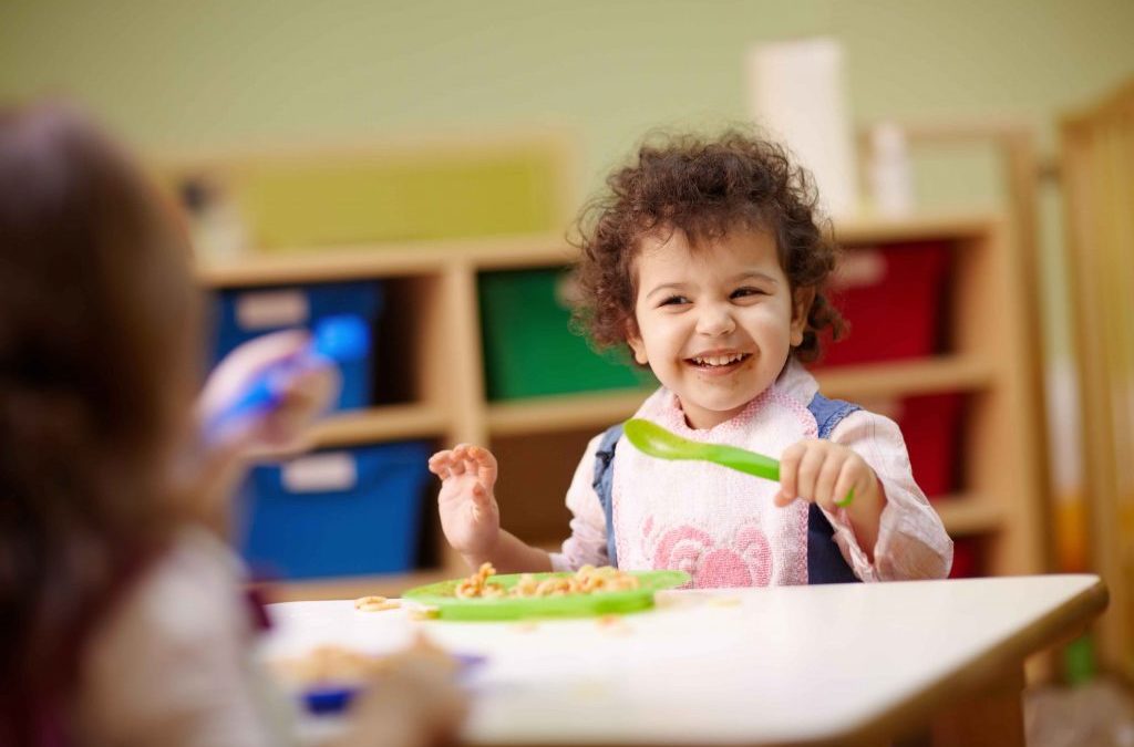 Toddler Lunch Ideas
