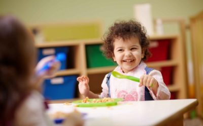 Toddler Lunch Ideas