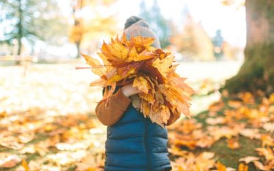 Is Your Child Acting Out—or Just Acting His Age?