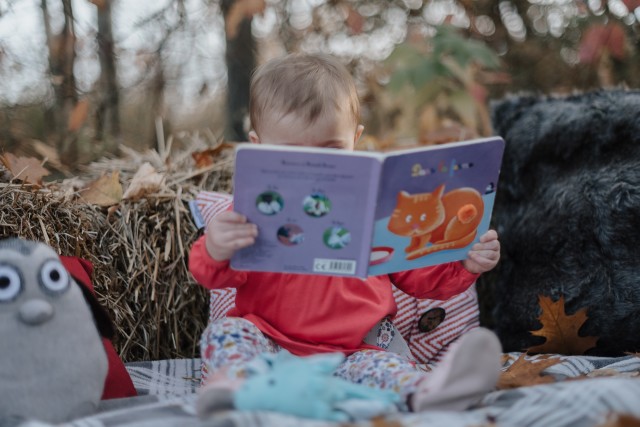 Surrogacy Books for Children