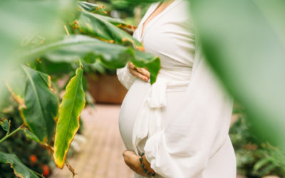 Surrogacy and Social Media