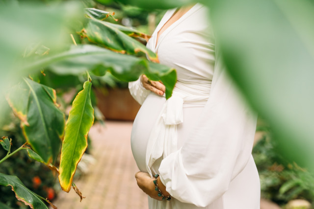 Surrogacy and Social Media