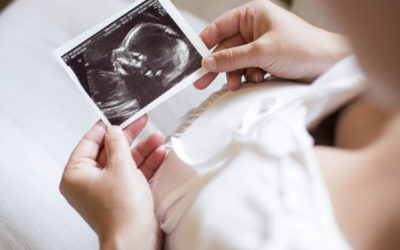 Surrogacy Pregnancy is Confirmed! What Happens Next?